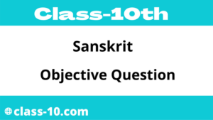 Read more about the article संस्कृत कक्षा 10 Sanskrit Objective Question Answer Matric Exam 2022